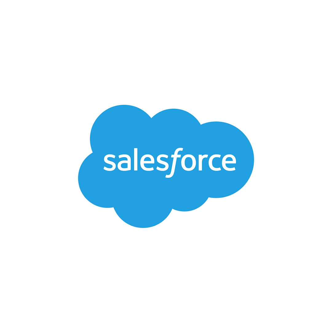 Salesforce Logo Groot